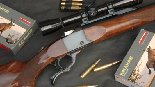 270 winchester ammo and rifle