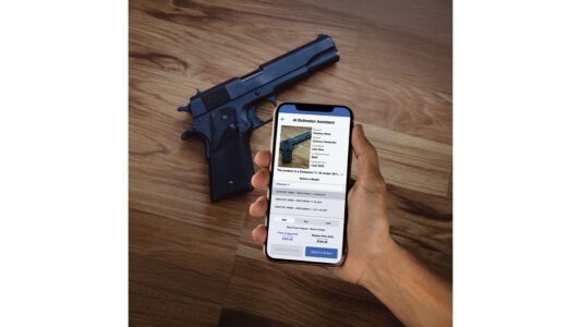 Bravo Store Systems