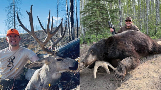 Browning Corporate Structure