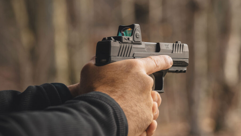 Fen X Custom Ear Inserts