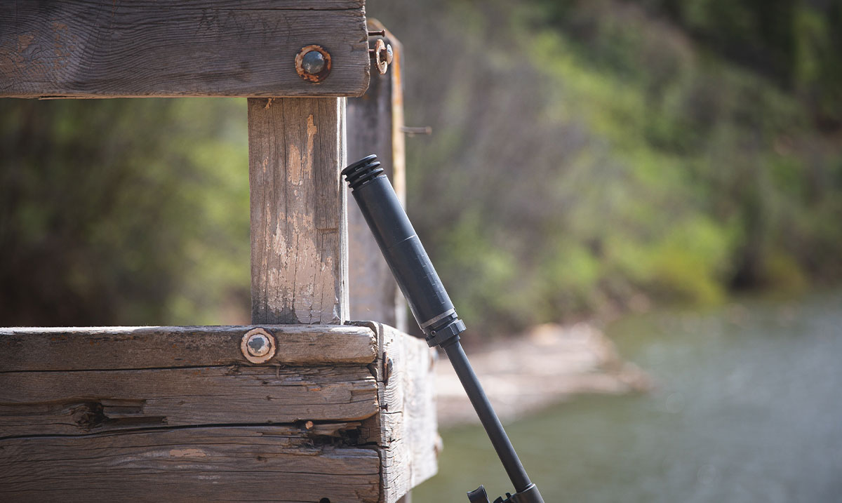 Suppressor Market